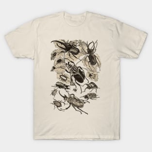 Coleoptera Beetles and Weevils J Mayson Wenge T-Shirt